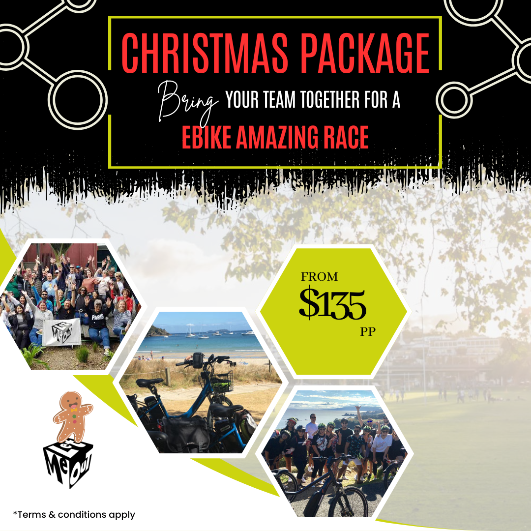 Christmas eBike Amazing Race